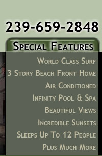 special features